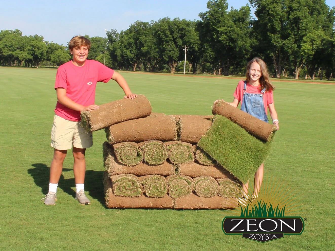 Zeon Zoysia Sod - Image 3